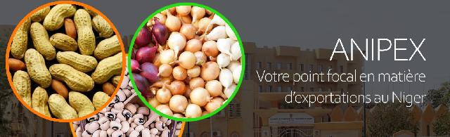 Découvrez les opportunités d'Exportation au Niger, les Politiques Gouvernementales, les démarches légales dans des secteurs clés.